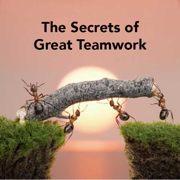 The secrets of great teamwork